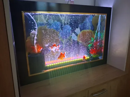 Aquarium plasma 80cm avec accessoires et 10 poissons Koi