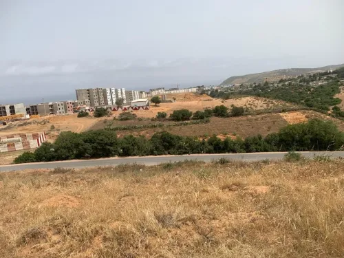 Vente Terrain Skikda Filfla