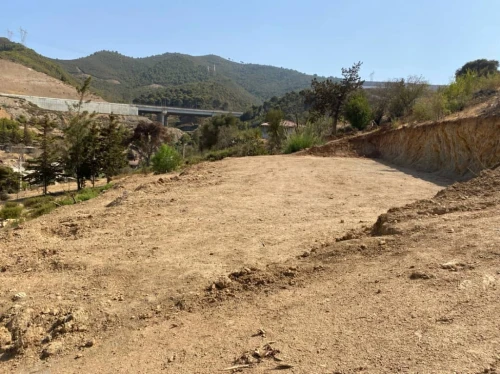 Vente Terrain Tipaza Sidi ghiles