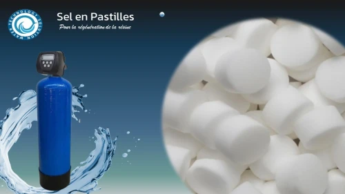 SEL EN PASTILLES INDUSTRIELS 