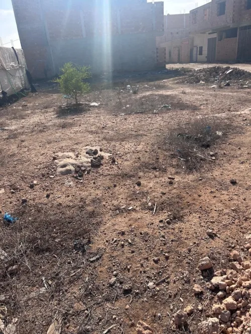 Vente Terrain Mostaganem Mezghrane