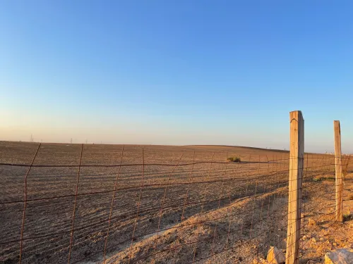 Vente Terrain Oran Tafraoui