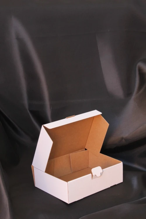 Boites en carton mico-ondulé