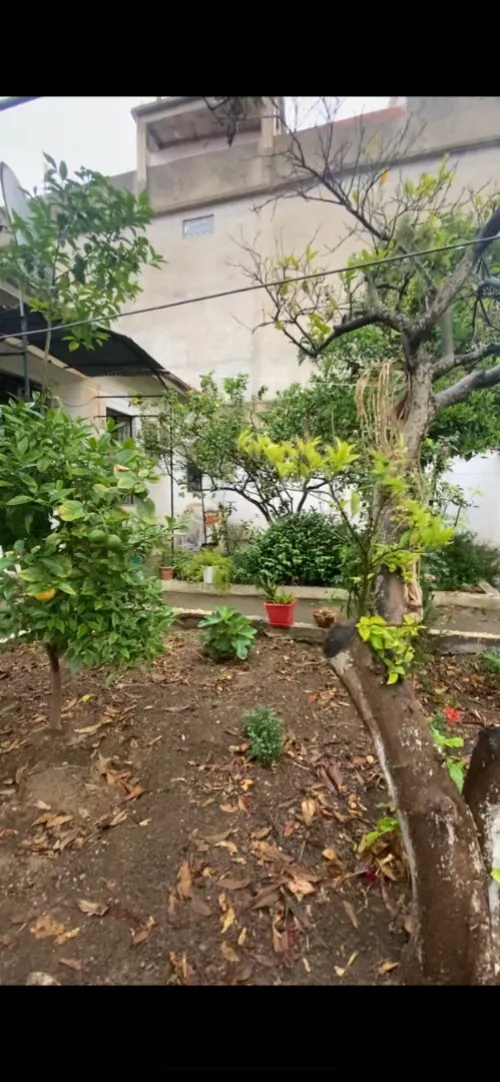 Vente Villa Alger El biar