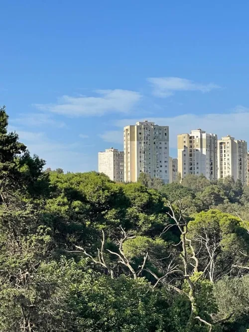 Vente Appartement Studio F2 F3 Alger Draria