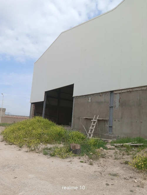 Location Hangar - Usine Sidi Bel Abbès Sidi bel abbes
