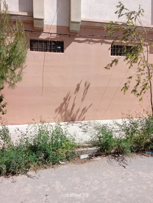 Vente Local Sidi Bel Abbès Sidi bel abbes