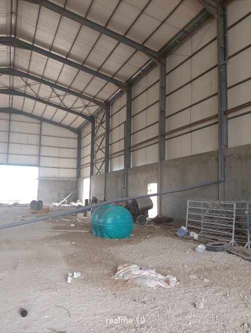 Location Hangar - Usine Sidi Bel Abbès Sidi bel abbes