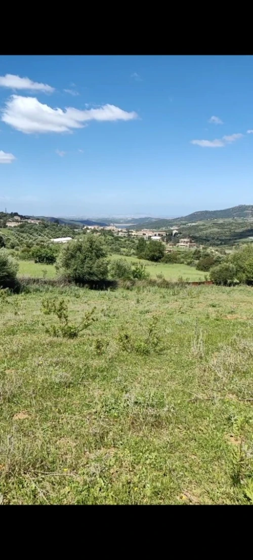 Vente Terrain Boumerdès Bouzegza keddara