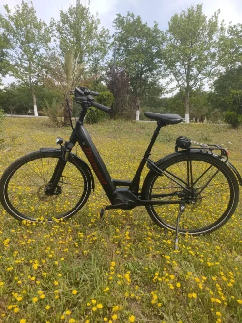 Vélos électriques Diamant à vendre