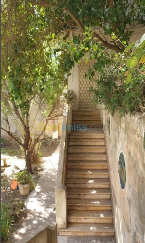 Location Appartement Niveau de villa Studio Alger Bouzareah