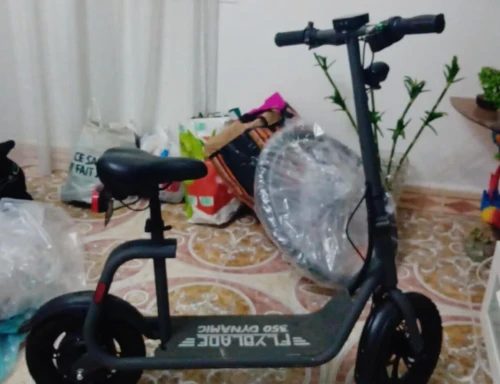 Flyblade 350 Dynamic 2026