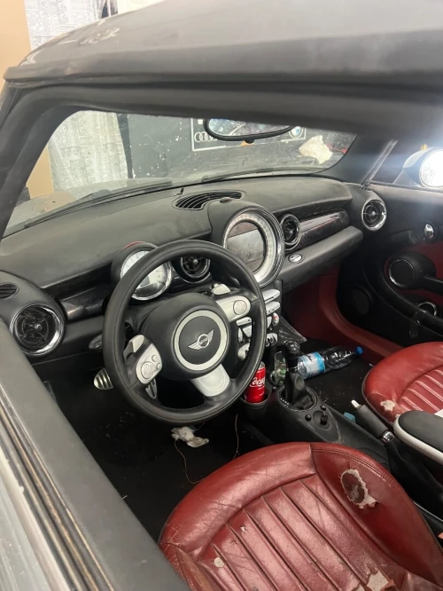 Mini Mini 2010 