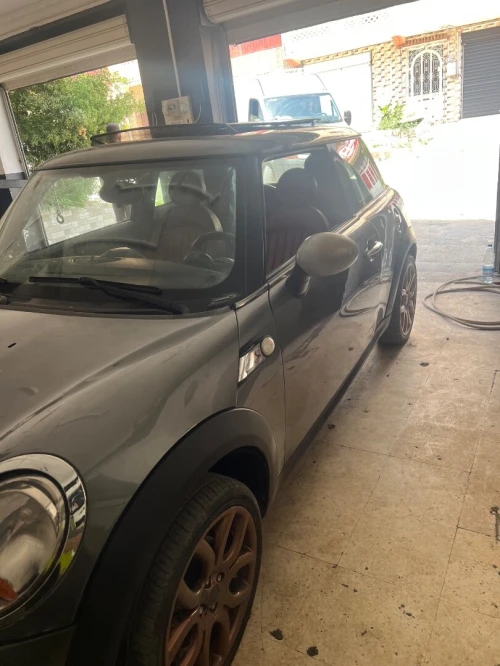 Mini Mini 2010 