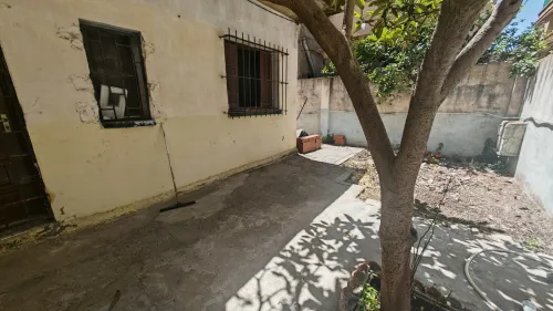 Location Local Alger Ain benian