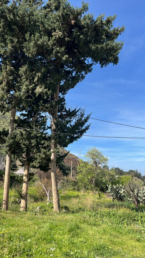 Location Villa Tizi Ouzou Azeffoun