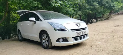 Peugeot 2l.   260 2014 