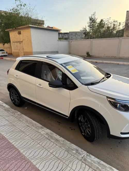 Livan X3 Pro  2026 X3 Pro automatique + Toit 