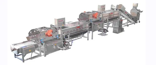 Ligne production de chips et frites surgelées, Transformation de fruits, légumes et viandes, 