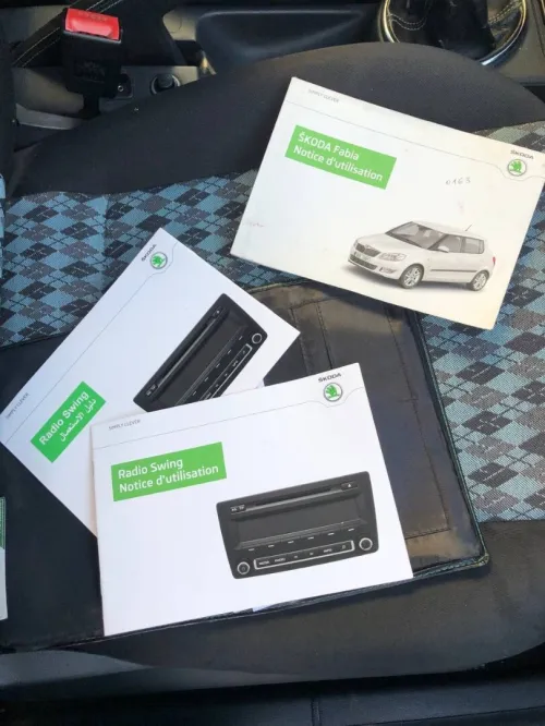 Skoda Fabia 2015 Visage