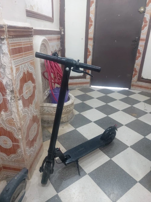 تروتينات