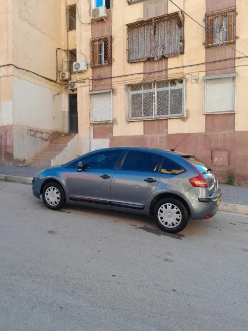 Citroen C4 2008 Vitamine