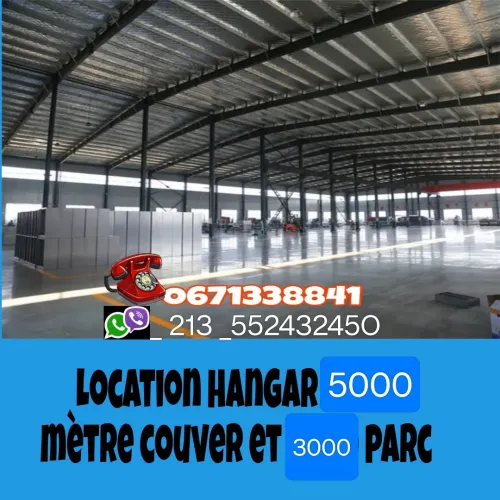Location Hangar Boumerdès Hammedi