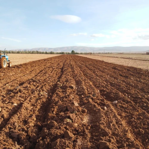 Vente Terrain Agricole Tiaret Ksar chellala
