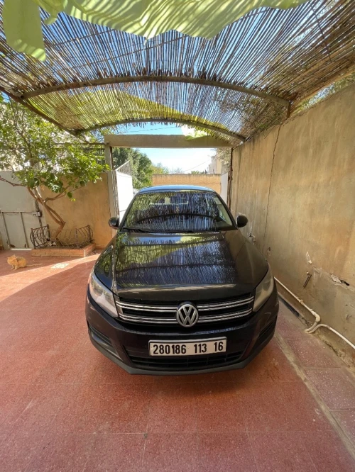 Volkswagen Tiguan 2013 Tiguan