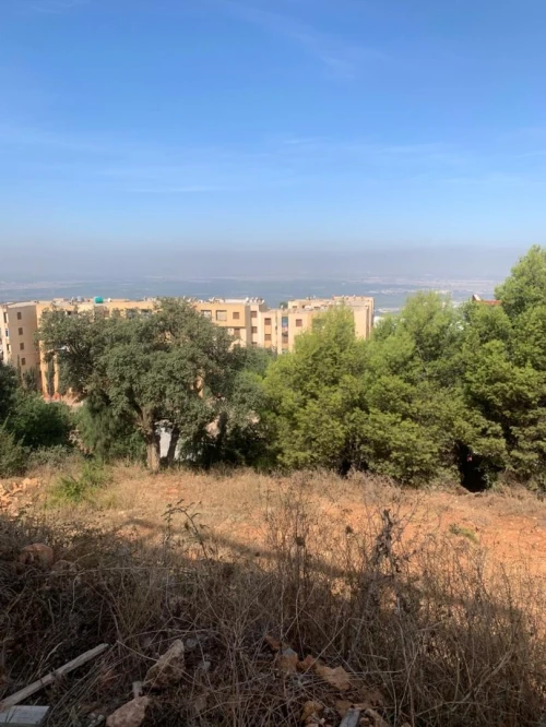 Vente Terrain Blida Meftah