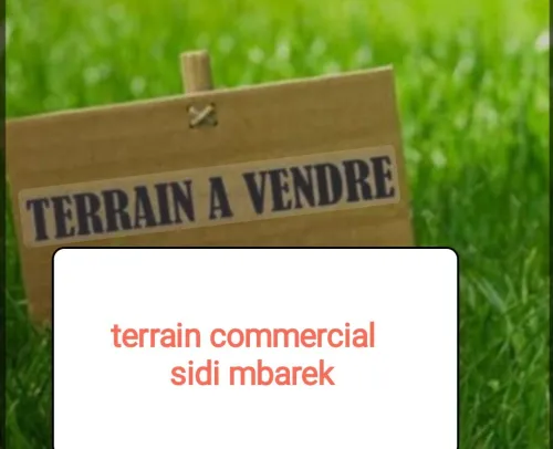Vente Terrain Alger Birkhadem