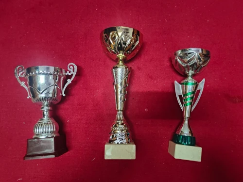 Coupe trophé
