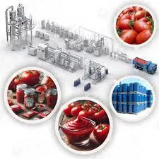 Ligne de transformation des tomates