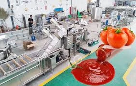 Ligne de transformation des tomates