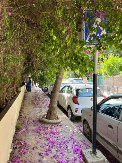 Vente Appartement F4 Alger El harrach