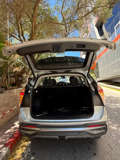 Geely Starray 2026 L luxury