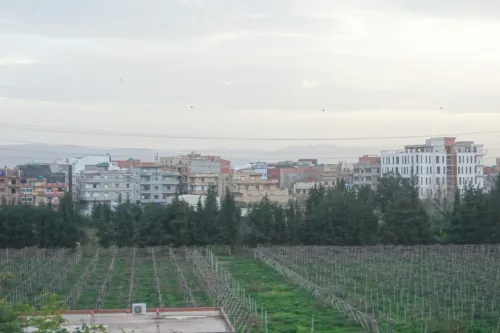 Location Local Alger Dar el beida