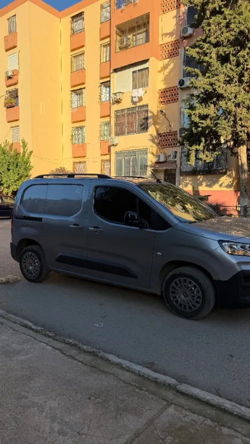 Fiat Doblo Van 2024 