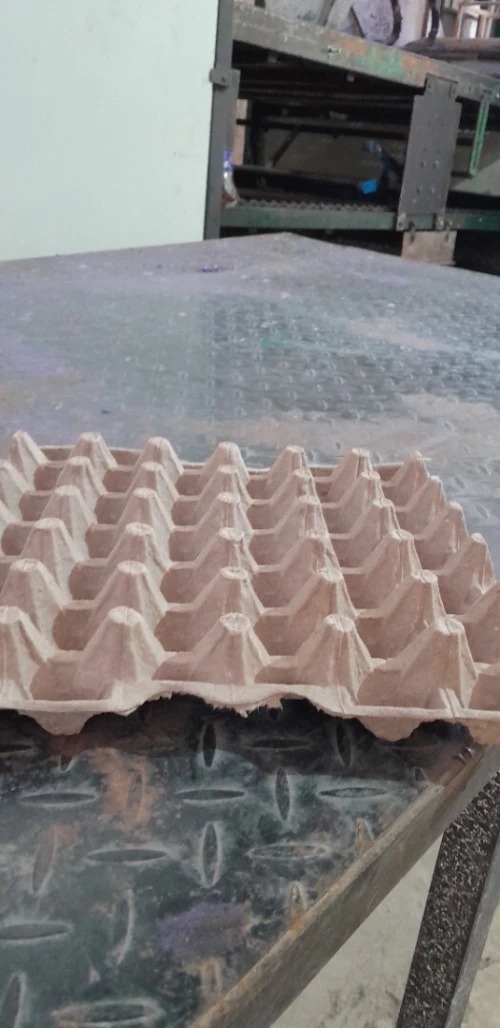Plateau d'oeufs  اطباق البيض