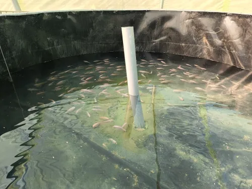 Soudure ou fourniture et pose de geomembrane تلحيم، توفير وتركيب غشاء جيوممبران 