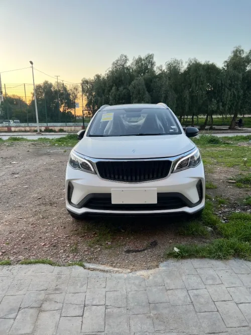 Geely GX3 PRO  2026 Livan