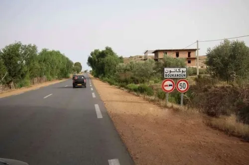 Vente Terrain Tlemcen Msirda fouaga