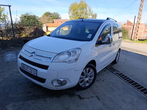 Citroen Berlingo Multispace 2010 Berlingo Multispace