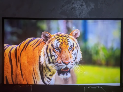 TV Philips