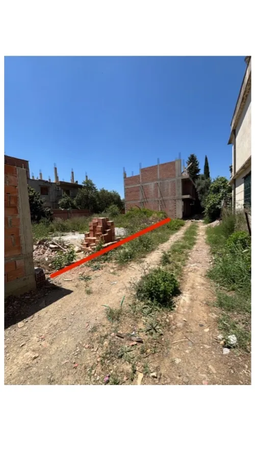 Vente Terrain Blida Larbaa