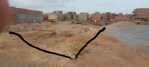 Vente Terrain Tlemcen Tlemcen