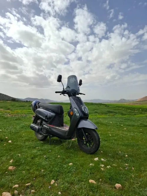 Vms Estate x 2025