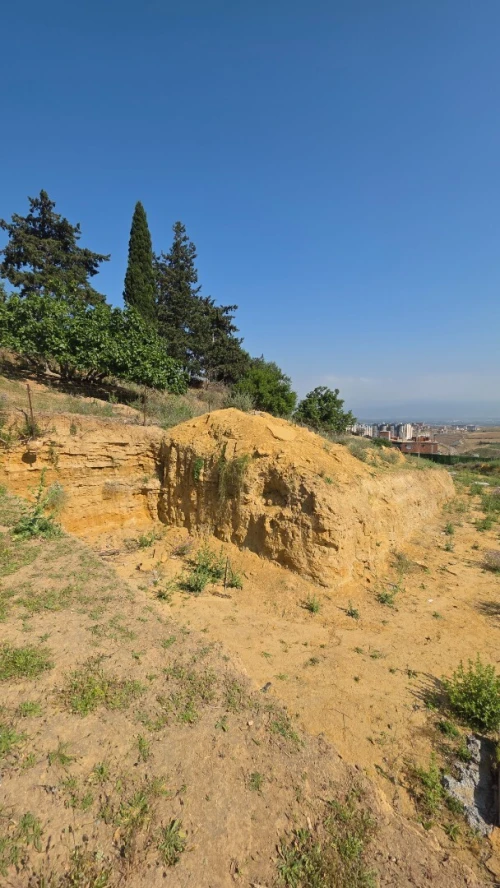Vente Terrain Alger Mahelma