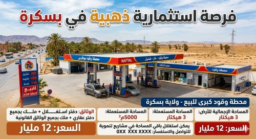 Vente Hangar - Usine Biskra Biskra