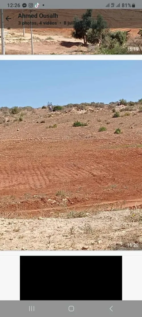 Vente Terrain Tlemcen Marsa ben mhidi
